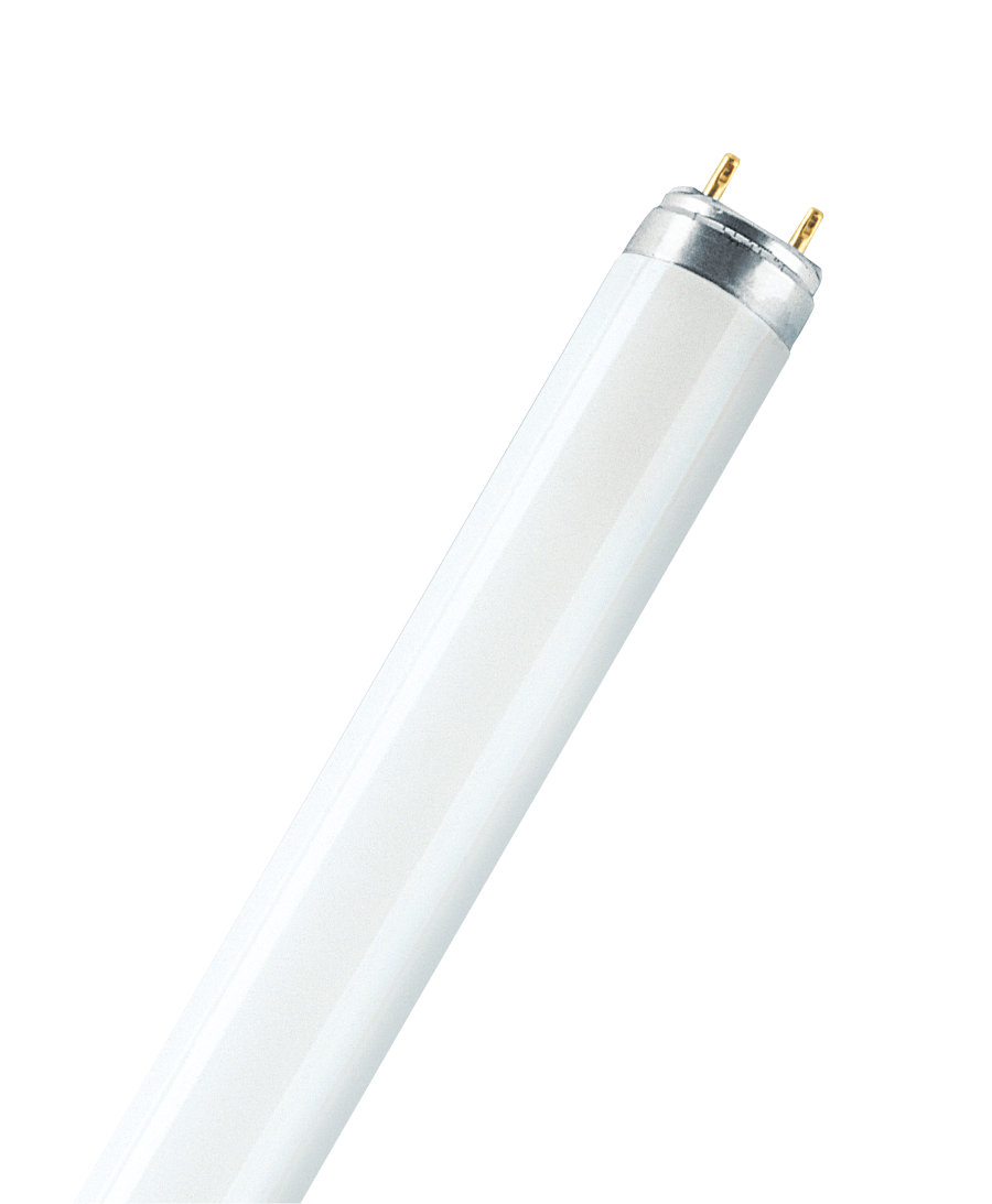 Osram Lumilux T8, 18W 2Ft, G13 base, Day light Fluorescent lamp 